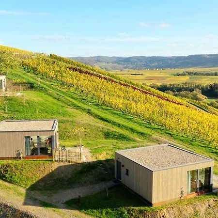 Apartmán Moselhoch Klusserath Exteriér fotografie