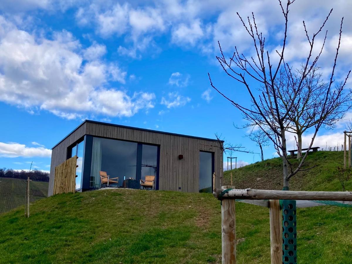 Apartmán Moselhoch Klusserath Exteriér fotografie