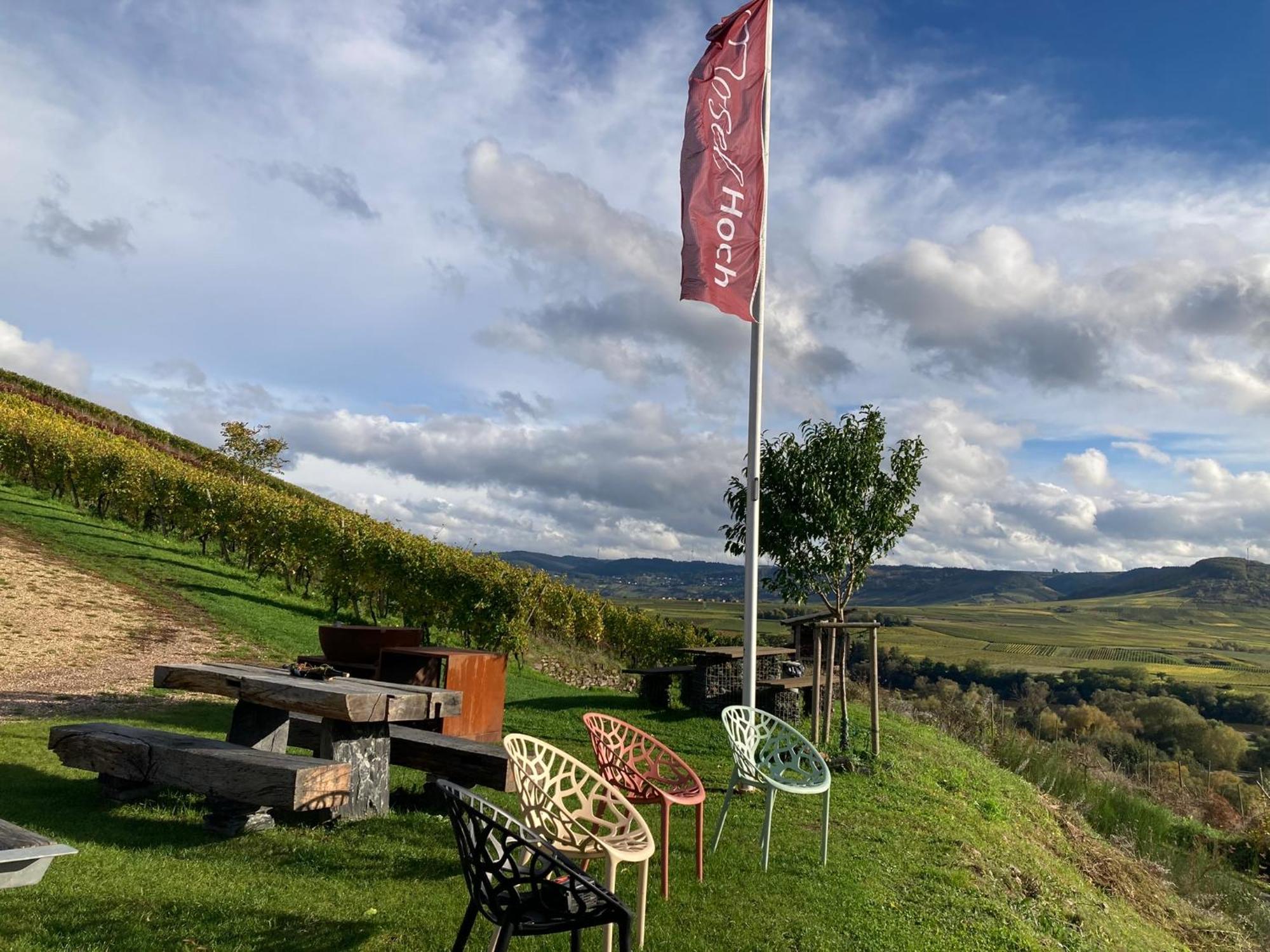 Apartmán Moselhoch Klusserath Exteriér fotografie