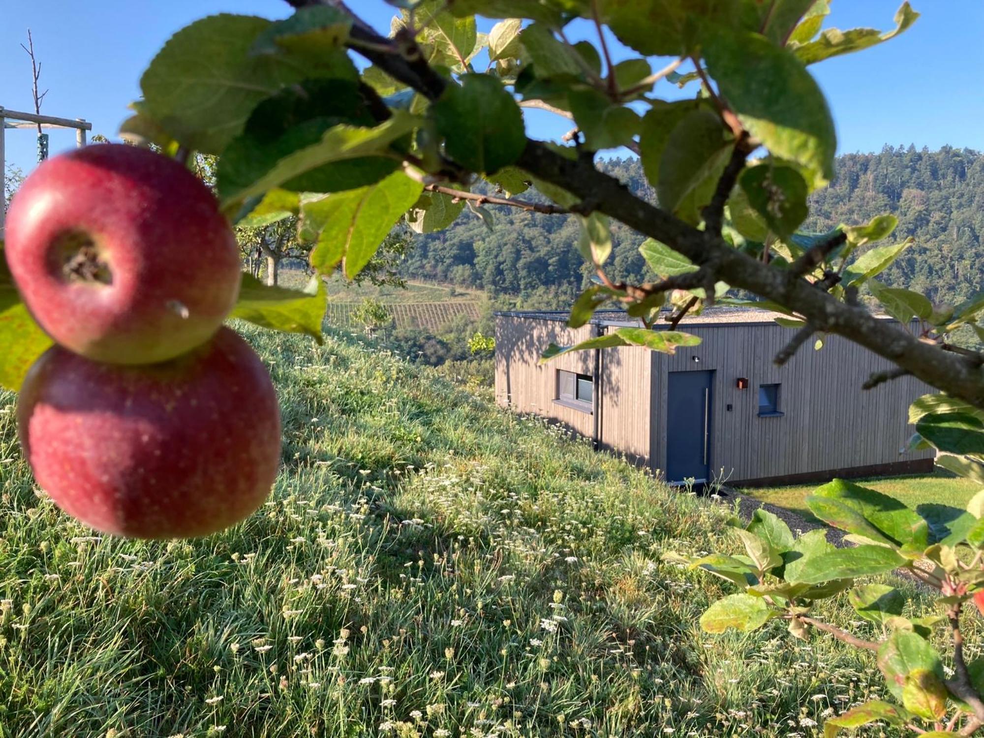 Apartmán Moselhoch Klusserath Exteriér fotografie