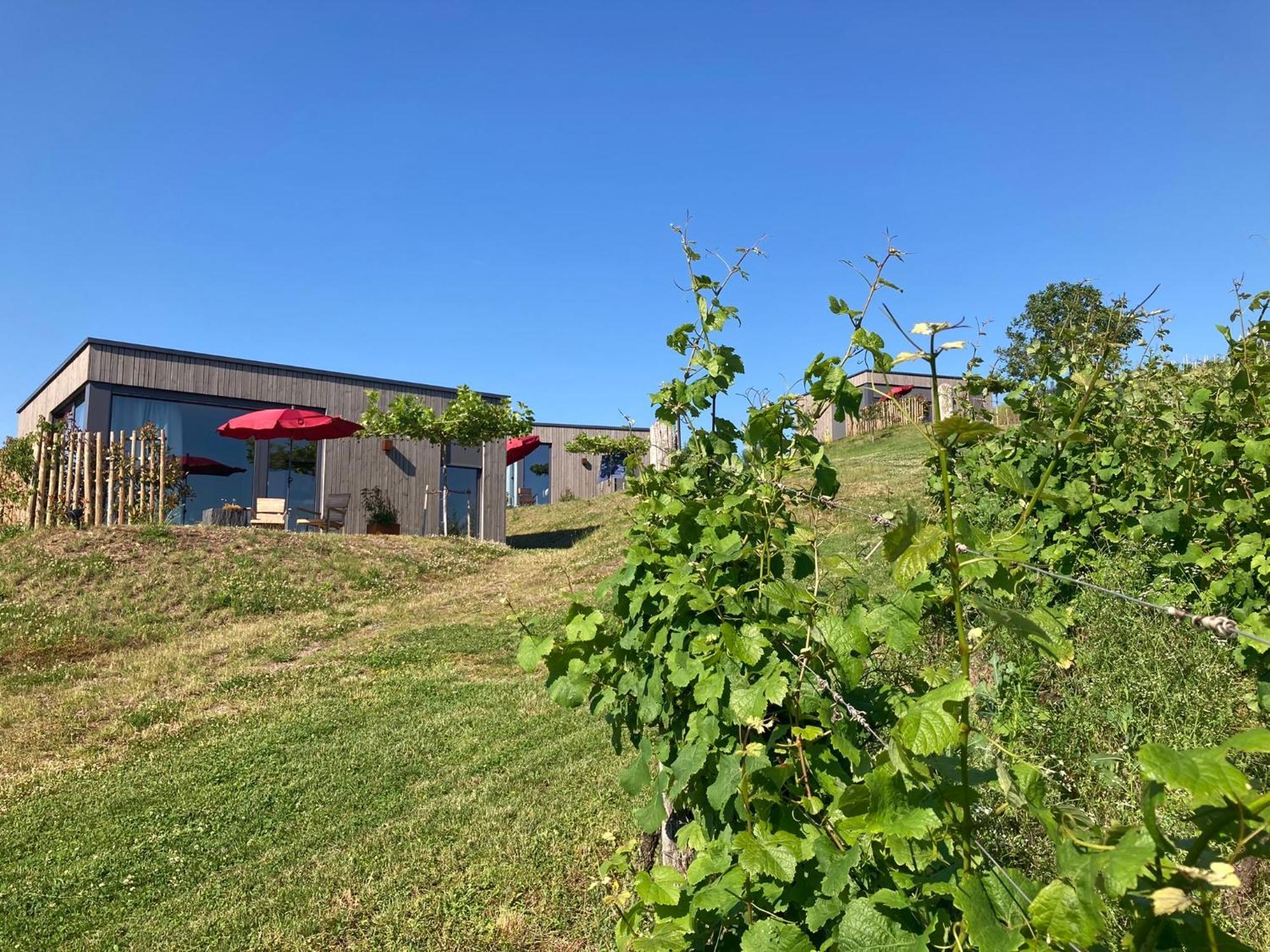 Apartmán Moselhoch Klusserath Exteriér fotografie